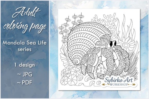 Download Hermit Crab in Shell Adult Coloring Page - Premium Resources